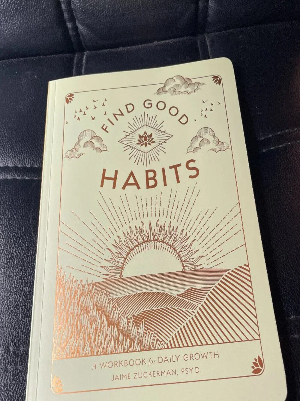 Find Good Habits Workbook Paperback